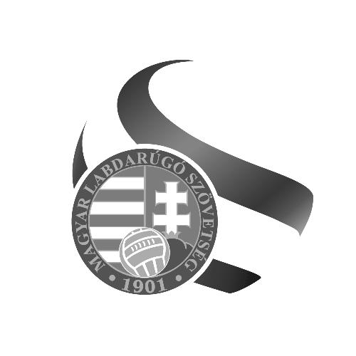 //www.davidakademia.hu/wp-content/uploads/2019/01/mlsz-logo.png